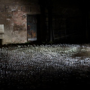 26231492_1757939877613687_7382268827511012149_n