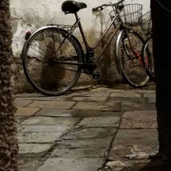 26169486_1757937517613923_6064298882015957795_n