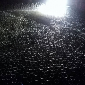 26170009_1757938190947189_5073991046029772074_n