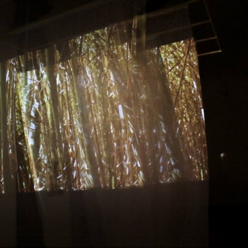 26195337_1757940317613643_4892248673223987858_n