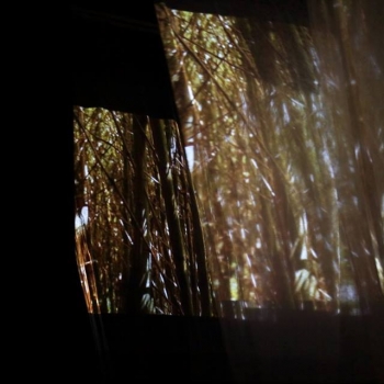 26195623_1757939584280383_7725706711205131712_n