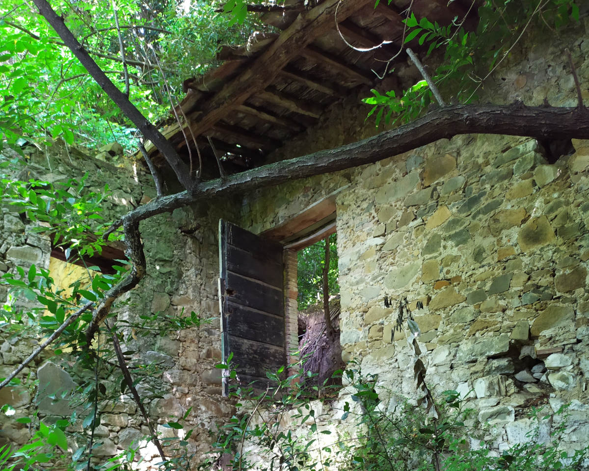 LABORATORIO DI MAPPE MENTALI